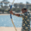 Archery Competition at Edwards Lifesciences' Luxury Luau Themed Staff Picnic in Orange County